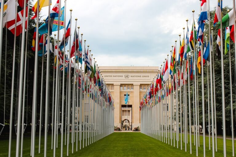 International flags flying near a government building
