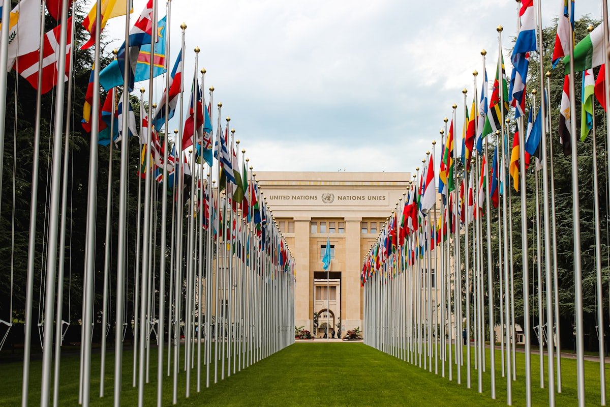 How Does the UN Security Council Veto Actually Work?